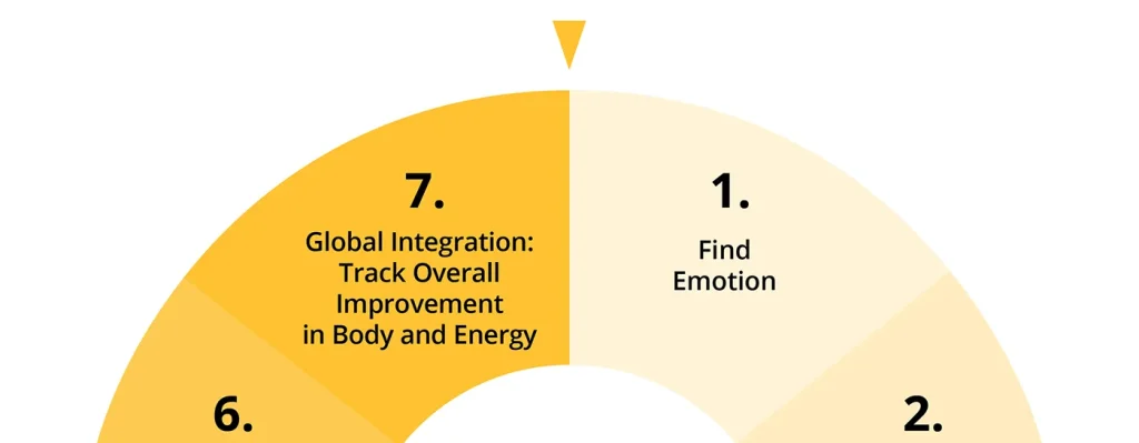 A crop of the 7 step protocol for embodying emotions that is central to the Integral Somatic Psychology approach