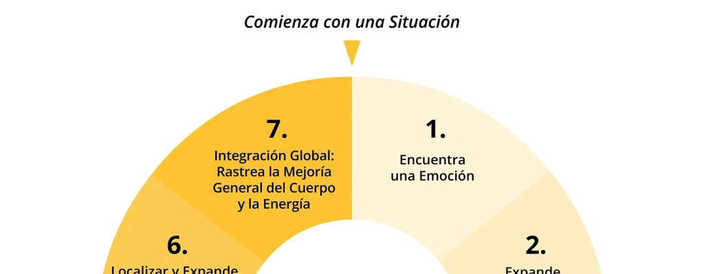 Isp Protocolo Siete Pasos Corporizar Emocion Crop